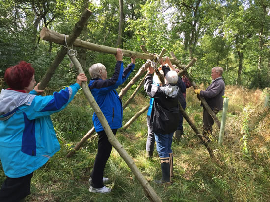 adults raising wood structure