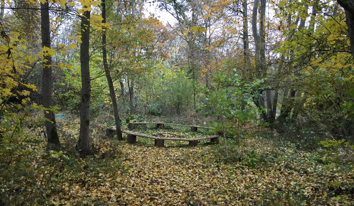 seating in woodland
